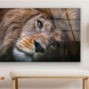 Lion Wall Art – Regal Lion Face Close-Up on Tempered Glass, Majestic Wildlife Decor for Empowered, Elegant, and Nature-Inspired Interiors