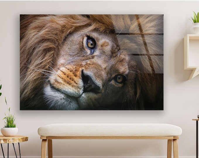 Lion Wall Art – Regal Lion Face Close-Up on Tempered Glass, Majestic Wildlife Decor for Empowered, Elegant, and Nature-Inspired Interiors