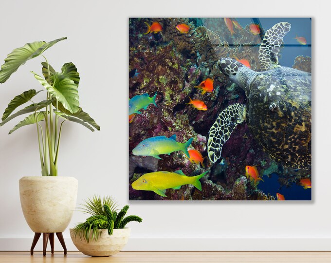 Tempered Glass Framed Wall Art--Wall Decor-Glass Printing-Glass Wall Art-Undersea Wall Art-Ocean Fish Wall Art-Aquarium Wall Art