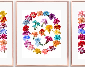 23 Colors Gladiolus Flower Art Print, Gift For Mom, Mother's Day Gift, Word MOM made of 23 Colors of Gladiolus, Set of 3, 8”x11”  Unframed