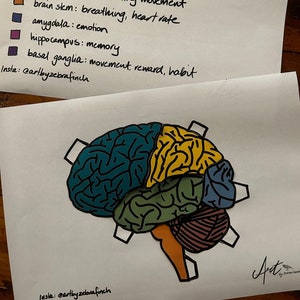 Actividad de manualidades cerebrales para aprender cómo el cerebro procesa las emociones.