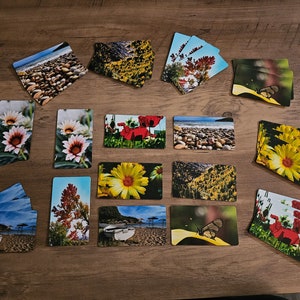 May include: A set of 15 cards featuring various nature scenes, including flowers, seashells, butterflies, and landscapes. The cards are printed on a white background with a glossy finish.