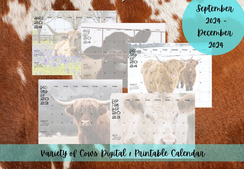 Cows Monthly Printable Calendar , Western Cow Variety Planner September