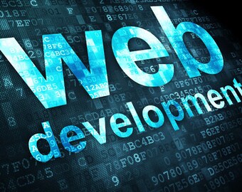 Customized Ecommerce WordPress w/ WooCommerce Website!