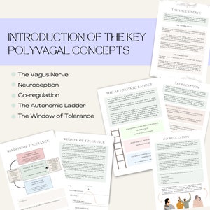Polyvagal Theory Workbook for Nervous System Regulation Worksheets for Polyvagal Theory Nervous System Awareness and Window of Tolerance image 2