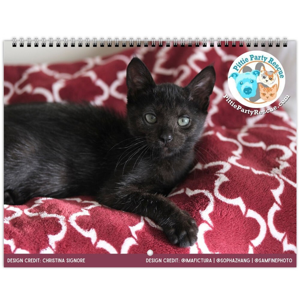 Pittie Party Rescue Calendar, Cat Rescue Calendar, 2024 Calendar