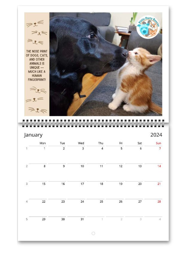 Pittie Party Rescue Calendar, Cat Rescue Calendar, 2024 Calendar
