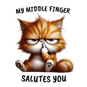 Puede incluir: Un gato naranja y blanco de dibujos animados con una expresión gruñona está haciendo un gesto obsceno con el dedo medio. El texto "MY MIDDLE FINGER SALUTES YOU" está debajo del gato.