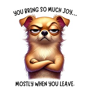 May include: A cartoon image of a brown and white dog with a grumpy expression. The dog has its arms crossed and is looking directly at the viewer. The text "YOU BRING SO MUCH JOY... MOSTLY WHEN YOU LEAVE." is written below the dog.