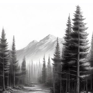 May include: A pencil drawing of a forest scene with tall pine trees and a mountain in the background. The trees are drawn in detail, with their needles and branches clearly visible. The mountain is drawn in a more abstract style, with its peaks and valleys suggested rather than fully rendered.
