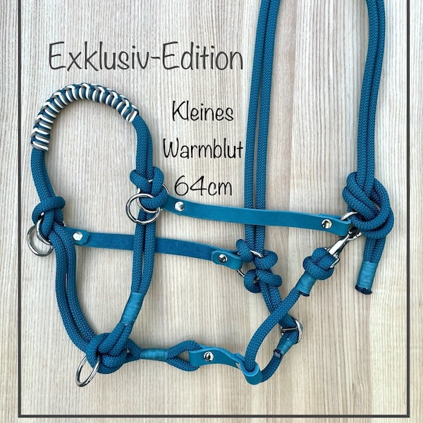 Sidepull en corde et cuir graissé, couleur aqua, taille sang chaud « Exclusive Edition »