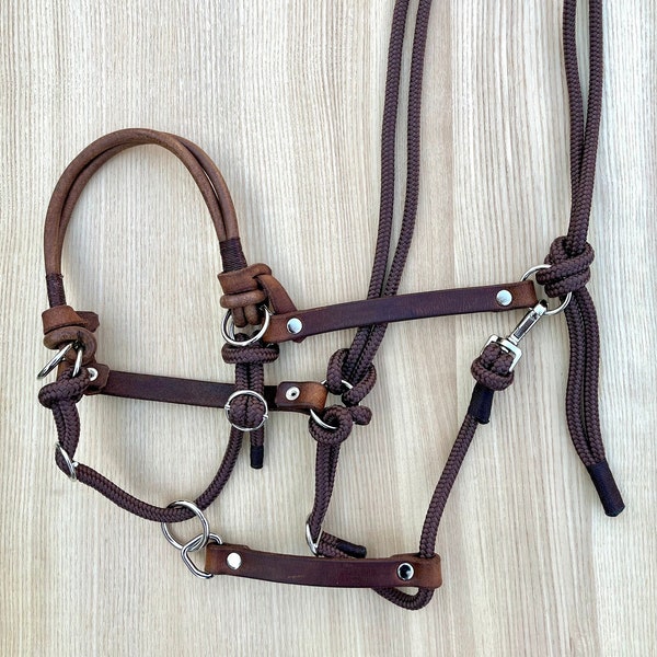 Adjustable leather sidepull with sliding lead ring for coldblood, warmblood, thoroughbred or pony, many colors