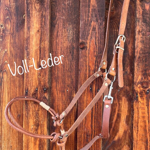 Safe leather knot halter made to measure for coldbloods, warmbloods and thoroughbreds. Gentle action, fixed or sliding ring, leather halter