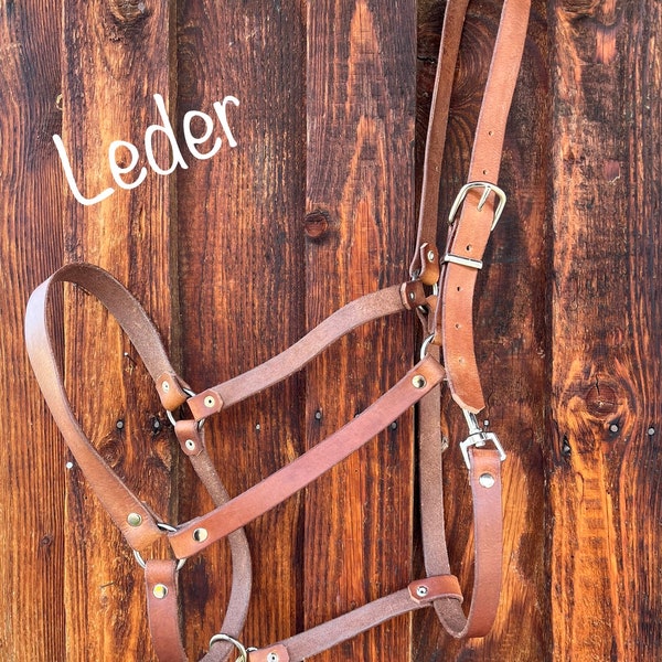 Leather halter made to measure for coldblood, warmblood or thoroughbred, fixed or sliding ring