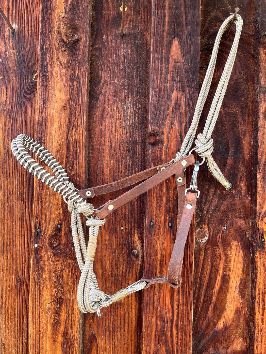 Leather Rope Halter Made to Measure for Cold Blood Warm Blood Etsy