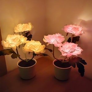 Peony Flower Lamp, Artificial Peony in Pot with LED Light,Home Bedroom Office Desk flower Decorations,Rechargeable,Night Lamp