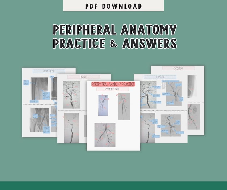 Pu&ograve; includere: Una raccolta di fogli di studio medico con il titolo "PERIPHERAL ANATOMY PRACTICE & ANSWERS" in grassetto bianco. I fogli presentano diagrammi dell'anatomia umana, con etichette e note. La parte superiore dell'immagine recita "PDF DOWNLOAD".