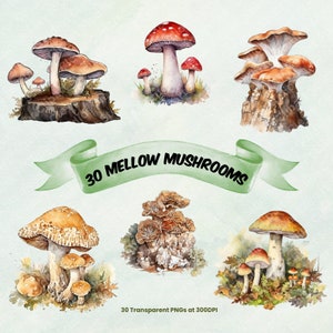 Aquarelle champignons Clipart forêt Nature champignon vénéneux Clip Art rétro champignons Premade Art botanique Bundle faune PNG Cottagecore clipart