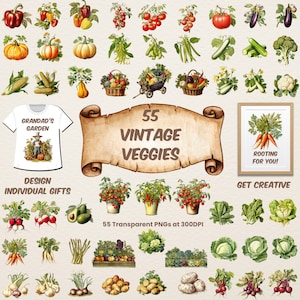 Vintage Veggies Garden Vegetable Clipart Bundle Vintage style sublimation illustrations for craft projects Vegetable watercolor seasonal PNG