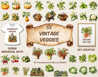 Vintage Veggies Garden Vegetable Clipart Bundle Vintage style sublimation illustrations for craft projects Vegetable watercolor seasonal PNG