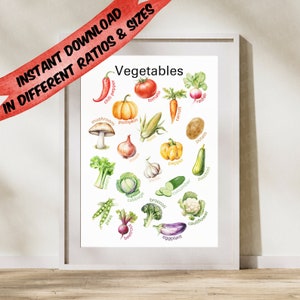 May include: A colorful illustration of various vegetables, including a red tomato, a green zucchini, a purple eggplant, a yellow pepper, a green broccoli, and a white cauliflower. The vegetables are arranged in a circle with their names written below them.