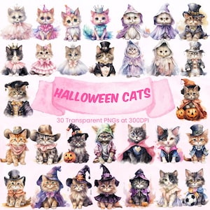 Halloween Katzen Aquarell Clipart Halloween PNG Katzen Bundle Süße Katzen Kostüm Hexe Kürbis Geist Fee Pirat Zombie Superheld Einhorn Braut