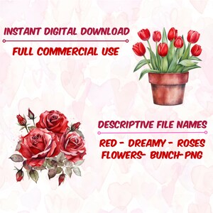 Watercolor Red Flowers Clipart Floral Printable Transparent PNG Bundle ...