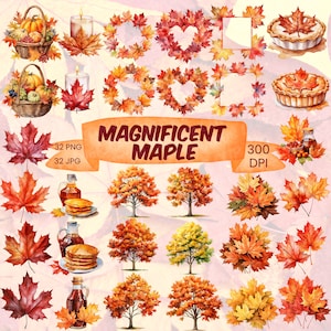 Bundle de cliparts aquarelle érable Automne feuilles d'érable automne PNG Clipart érable arbre Thanksgiving PNG Bundle Art de feuille d'érable automne sirop d'érable