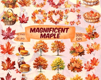 Maple Watercolor Clipart Bundle Autumn Maple Leaves Fall PNG Maple Tree Clipart Thanksgiving PNG Bundle Autumnal Maple Syrup Maple Leaf Art