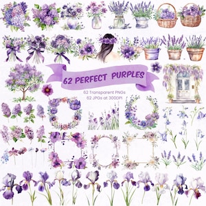 Bundle de fleurs violettes aquarelle Clipart floral PNG Bouquets violets roses lilas cadres de fleurs couronnes éléments Vases de fleurs PNG transparents