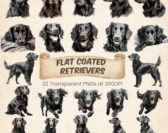 Flat Coated Retriever Dog Clipart Bundle Miłośnik psów Sztuka cyfrowa Flat Coat Dogs PNG Uroczy prezent dla mamy psa Szczeniak Flattie Wydrukowana ilustracja psa