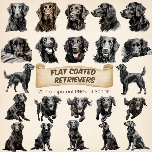 Flat Coated Retriever Dog Clipart Bundel Hondenliefhebber Digitale Kunst Flat Coat Dogs PNG Cute Dog Mom Gift Flattie Puppy Afdrukbare Hond Illustratie