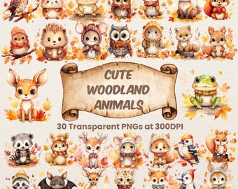 May include: A set of 30 digital illustrations of cute woodland animals in watercolour style. The animals are depicted in various poses and expressions, with autumn leaves and other woodland elements in the background. The text "Cute Woodland Animals" and "30 Transparent PNGs at 300DPI" is included in the image.