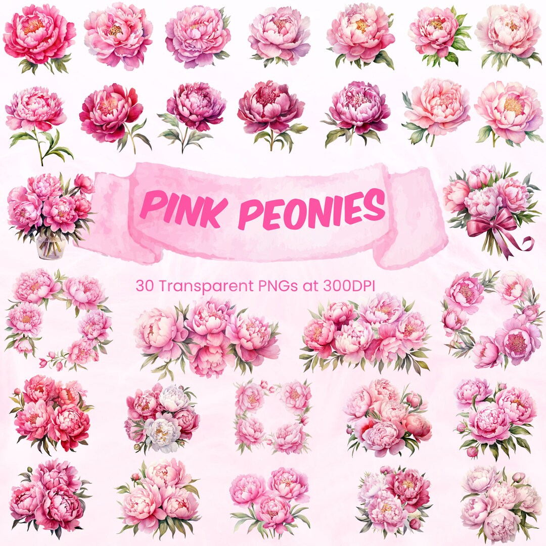 Watercolor Pink Peonies - Peony Clipart - Pink Flowers Png - Peony ...