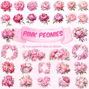 Watercolor Pink Peonies - Peony Clipart - Pink Flowers png - Peony Flowers - Pink Bouquets - Wedding Clipart - Botanical Art - Card Making