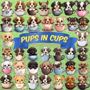 Lindo cachorro Clipart Perros adorables en tazas Clipart Perros lindos PNG Amor de cachorro para perro mamá o amante de los perros Perro divertido PNG Paquete Paquete de perros lindos