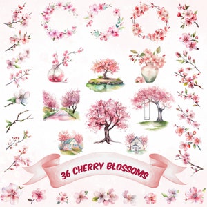 Aquarela Cherry Blossoms Clipart Rosa Flores PNG Pacote Sakura Clipart Floral Ramos Primavera Floral Rosa Fresco Buquês Pré-fabricados Clipart
