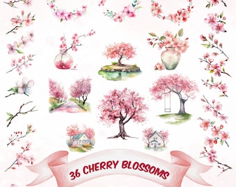 Watercolor Cherry Blossoms Clipart Pink Flowers PNG Bundle Sakura Clipart Floral Branches Spring Floral Pink Fresh Bouquets Premade Clipart