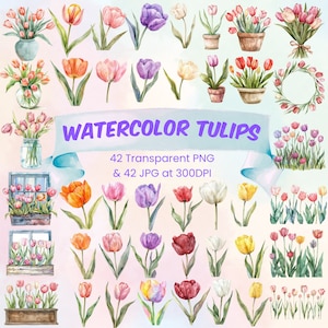 Watercolor Tulip Clipart Bundle Floral PNG Bundle Printable Tulip Bouquet Border Vases Tulip Wreath Frame for Wedding Birthday & Mothers Day