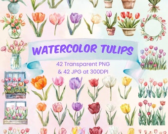 Akvarell tulpan clipart-paket blommig PNG-paket utskrivbar tulpanbukettkant vaser tulpankransram för bröllop, födelsedag och mors dag
