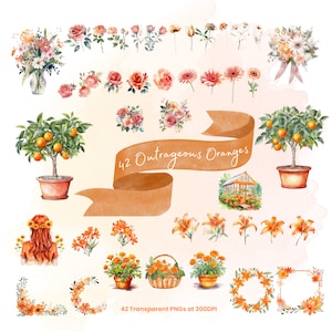 Outrageous Orange Watercolor Floral Clipart Bundle Flowers PNG Blooms Orange Trees Flower Baskets Bouquets Floral Wreaths Wildflower Borders
