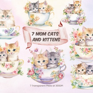 Maman chat et chaton dans une tasse de thé Clipart chaton mignon PNG chat Clipart fête des mères chaton Clip Art chat mignon PNG Transparent téléchargement numérique
