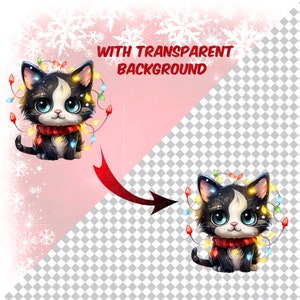 May include: A black and white cat with blue eyes wearing a red scarf and surrounded by colorful Christmas lights. The cat is sitting on a pink background with white snowflakes.