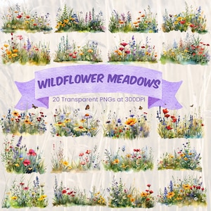 Wildflower Meadows Clipart Watercolor Floral Wild Flower Meadow PNG Botanical Wildflowers Prairie Spring Summer Countryside Transparent PNG