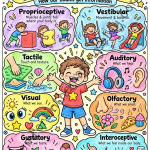 Könnte beinhalten: Ein farbenfrohes Lehrplakat mit dem Titel Types of Sensory Input, How our bodies get information. Es zeigt ein Kind in der Mitte, umgeben von acht illustrierten Abschnitten: Proprioceptive, Vestibular, Tactile, Auditory, Visual, Olfactory, Gustatory und Interoceptive, jeweils mit beschreibenden Symbolen und Text.