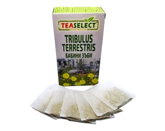 Tribulus terrestris natural tea in filter bags, herbal tea for men