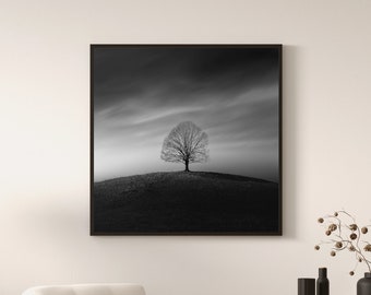 Black and white photograph of a tree on top of a hill - Square format - Photo Image Poster Wall Decoration