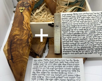 mezuzah house in the shape of the Land of Israel. + kosher mezuzah scroll 9.5 inches. Handmade mezuzahs. Made in Israel,solid olive wood.