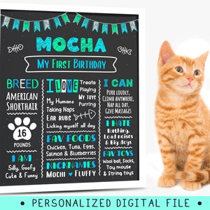 Signe d'anniversaire de chat, tableau noir, affiche du 1er anniversaire pour chat, souvenir commémoratif, cadeaux pour propriétaire de chat, décoration de fête d'anniversaire personnalisée