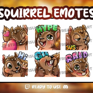 Squirrel Twitch Emotes Pack 6x Animal Adorable Cute Kawaii Sus Hype Rodent Graphics Sub Emoticons Discord Emojis Kick Instant Download